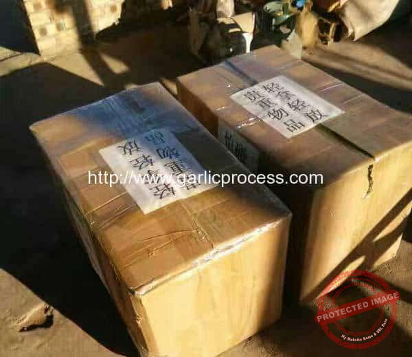 Garlic-Root-and-Leaf-Cutting-Machine-Delivery-for-USA-Customer